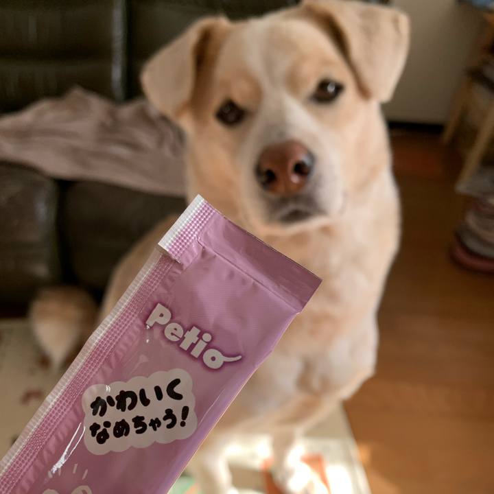 416ded9e 0836 4409 bea8 128d32653c44 1578199196346