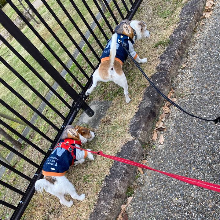 416e0bbc e3a3 4a82 9def ff74f16f9b1e 1638691378715