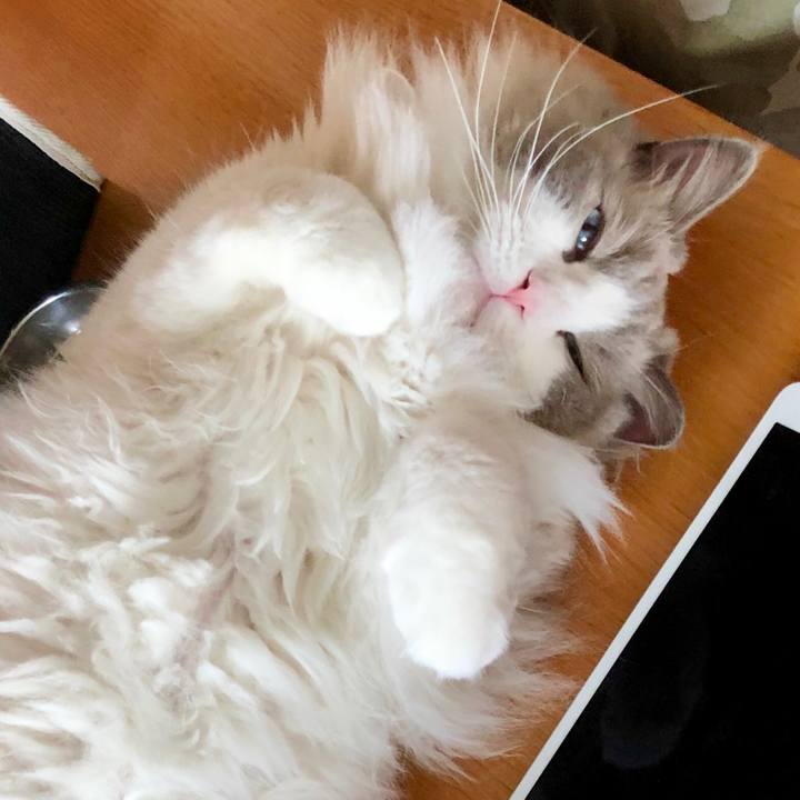 416e0c0e 5848 4945 9d2c ffd7fea760f8 1628665621776