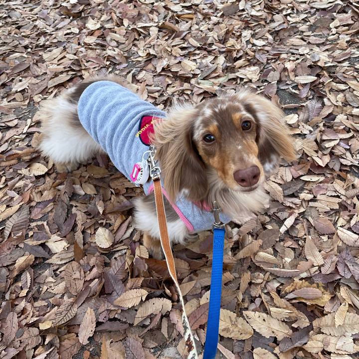 416e47b2 6e03 42ba 9501 c630058b01e2 1764509465282