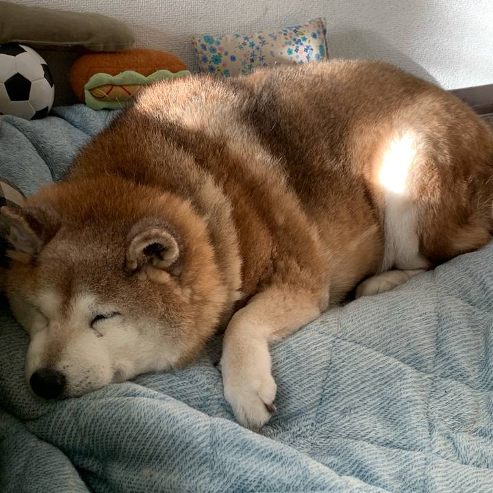 416e504d 3c6b 4b35 98c2 c60278f92499 1616229606432