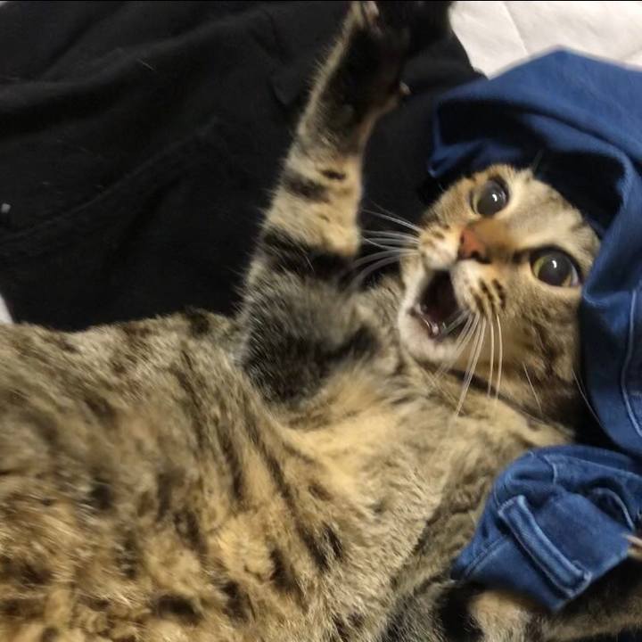 416f2551 1298 4f24 b03c 29018acb4d3b 1624566503871