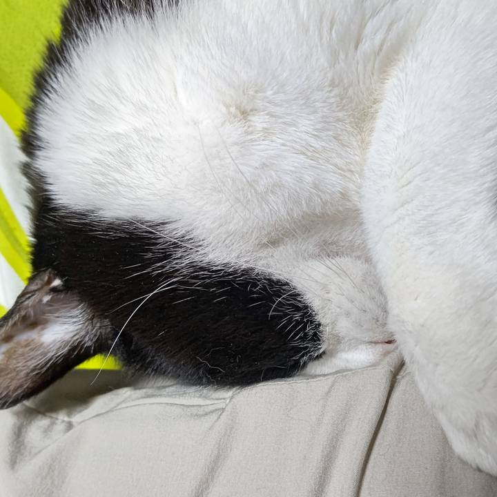 416f506a 0504 478c a091 41b877b7de4a 1643636798597