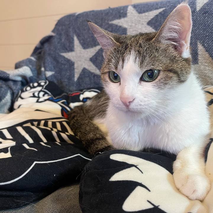 416f5817 ae94 4296 9a73 150d5ba3b3a8 1624101056225