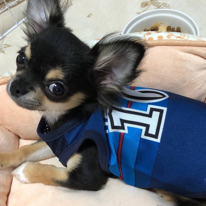 416fa466 2782 48c1 8a36 0b59b6db9ce0 1538988071470