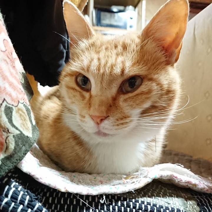 41701801 475d 4a27 8b10 633a57810c15 1588799460460