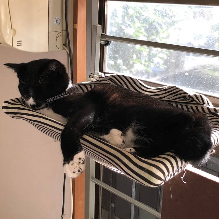 41703d1c 8b9e 4c1c aed9 6fc660d995a9 1542421029516