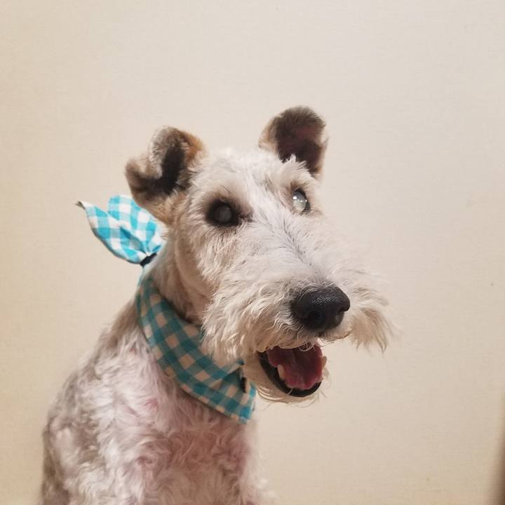 4170705a da0d 4af0 953e 4983459077ff 1602683851789