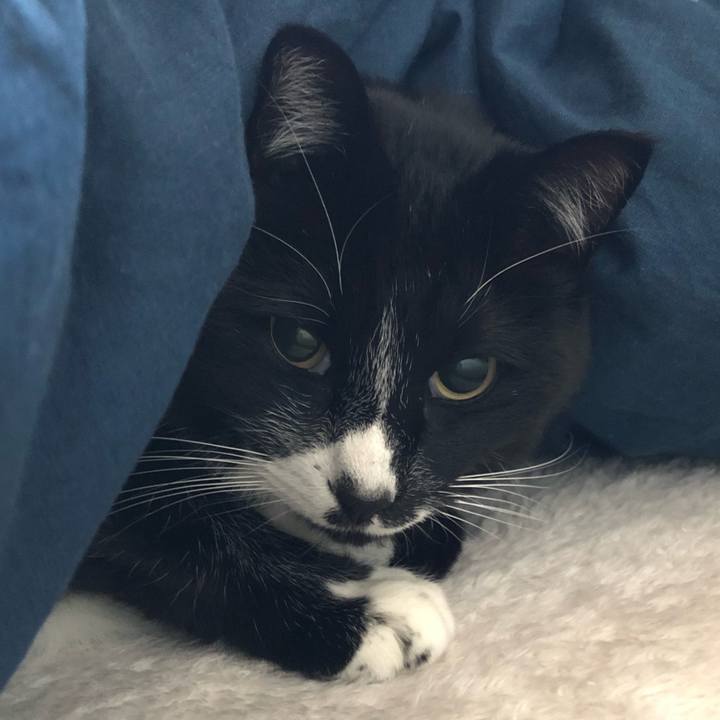 41707efc c008 4aac ad01 8b44cf26988e 1641527628828