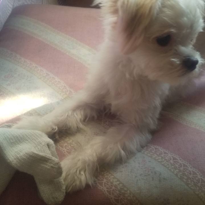 41709461 5593 4ddc 8eb0 22bc4be94260 1698042876189