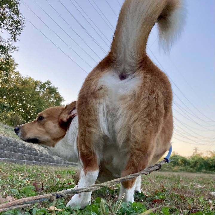 4170a923 4e25 4afb aa49 385d43587904 1699492652617