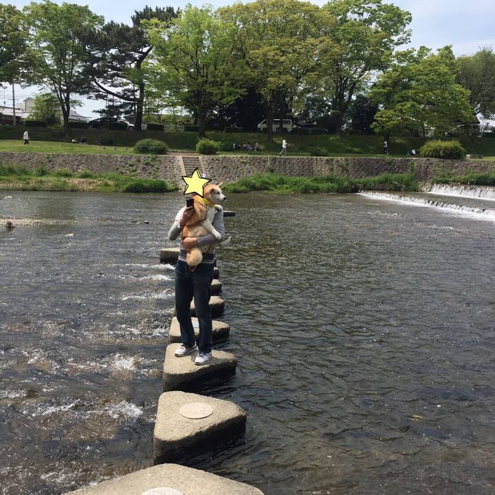 4170cccd 10fd 4056 9cea 227a57b83ff0 1524552858557