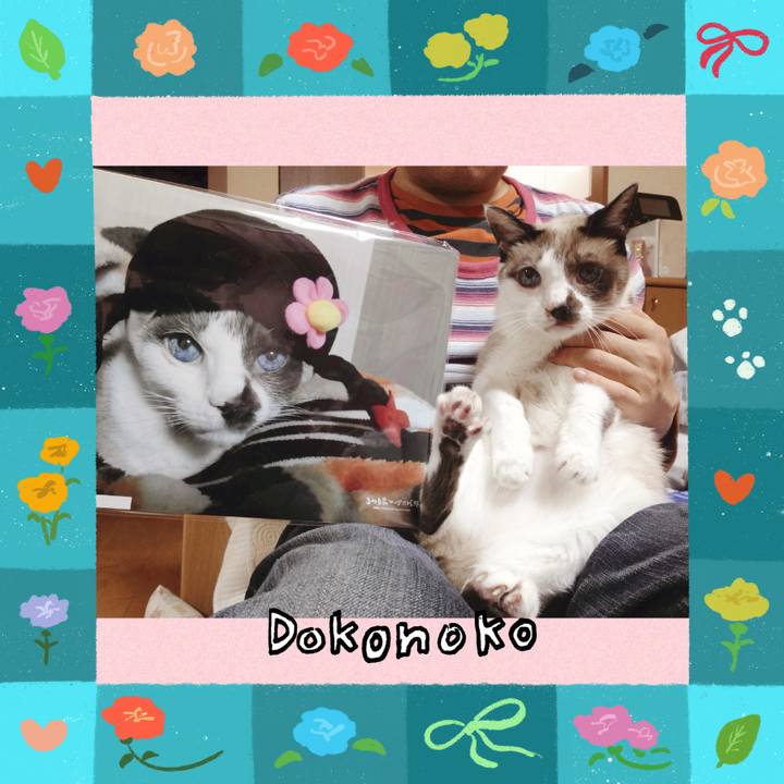 4171137b 7876 4cab 9743 5d4eb7fcf6f0 1714950025689