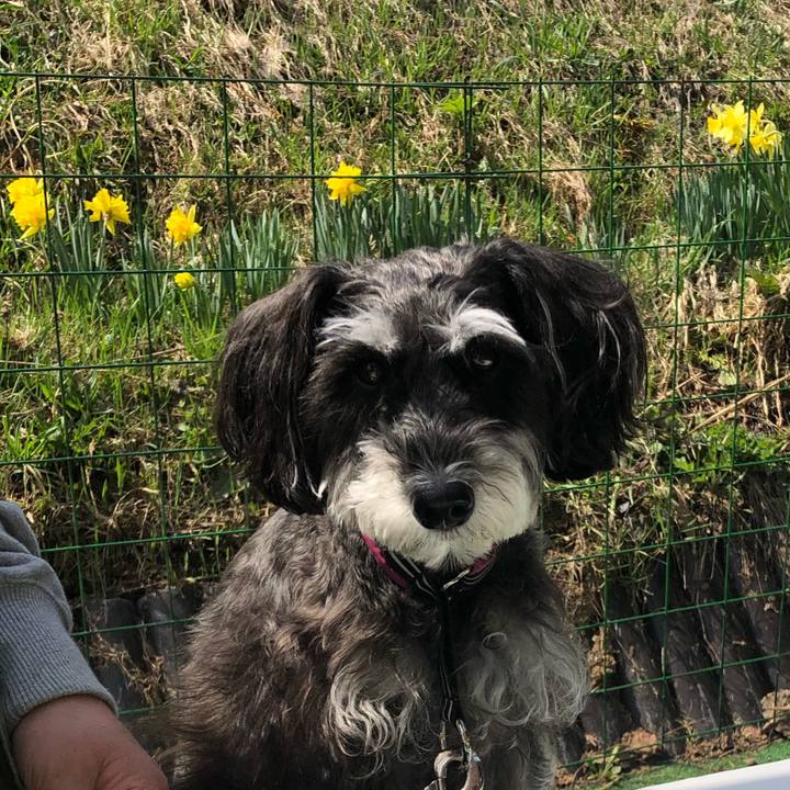 4171352e a0e0 4817 b005 9dc59c568c0e 1556596350021