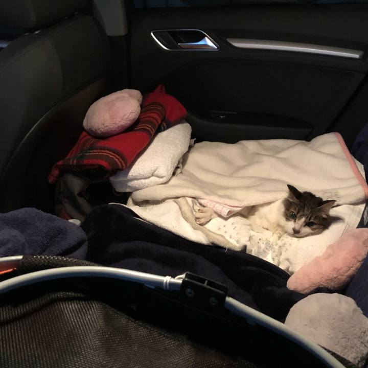 417135a2 2dc5 43c9 b3bb 03e8b95884f7 1546166378299