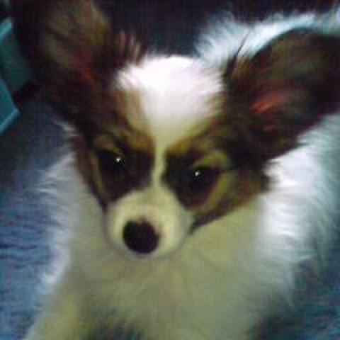 417135f3 def9 40c5 8521 39c8ef1cbb37 1534948287654