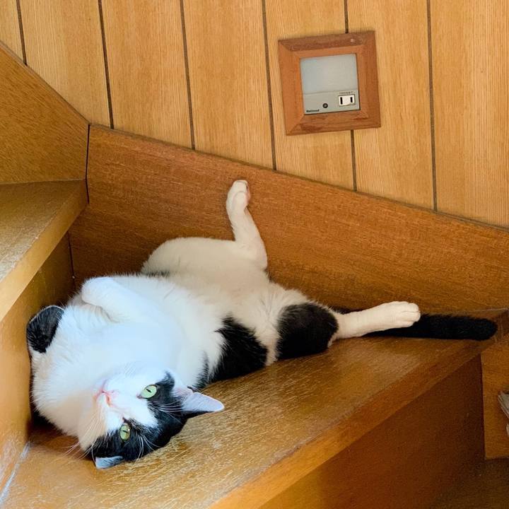 41715275 ec39 469c b1d9 54b07de5739e 1566698470535