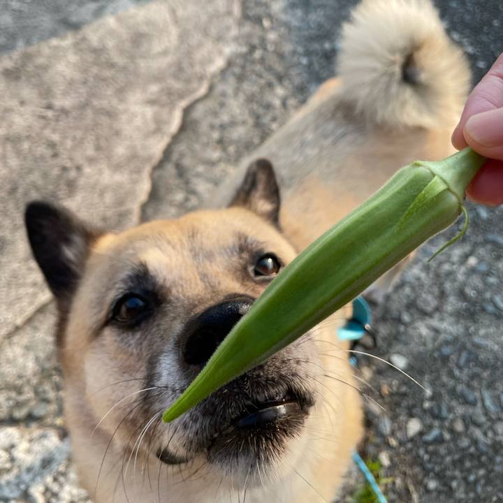 4171b0df 895d 4edd 8757 005d5fac61d2 1722860473240