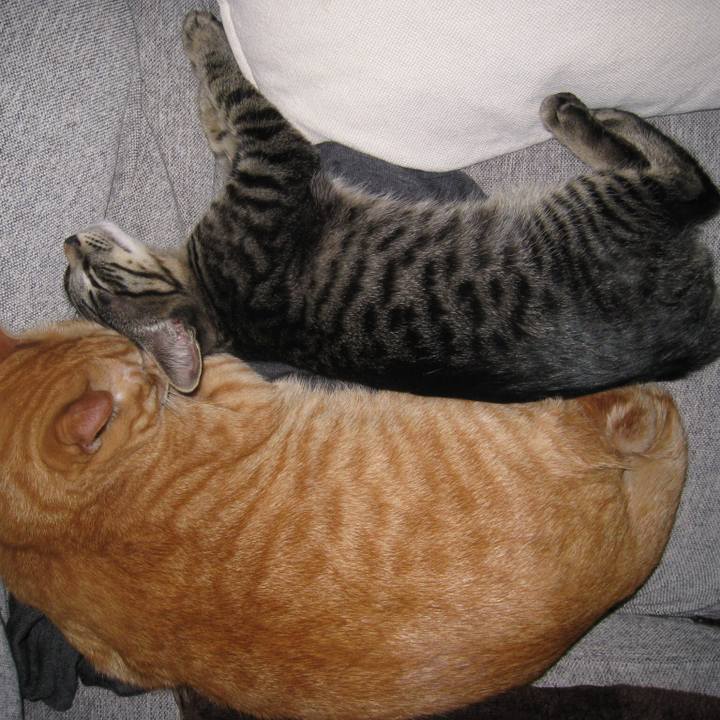 4171c892 8523 4898 8315 2fe13c50f372 1552226500717