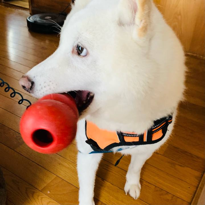 4171dd8a c699 49dd a1a3 9160936783bc 1670133839450