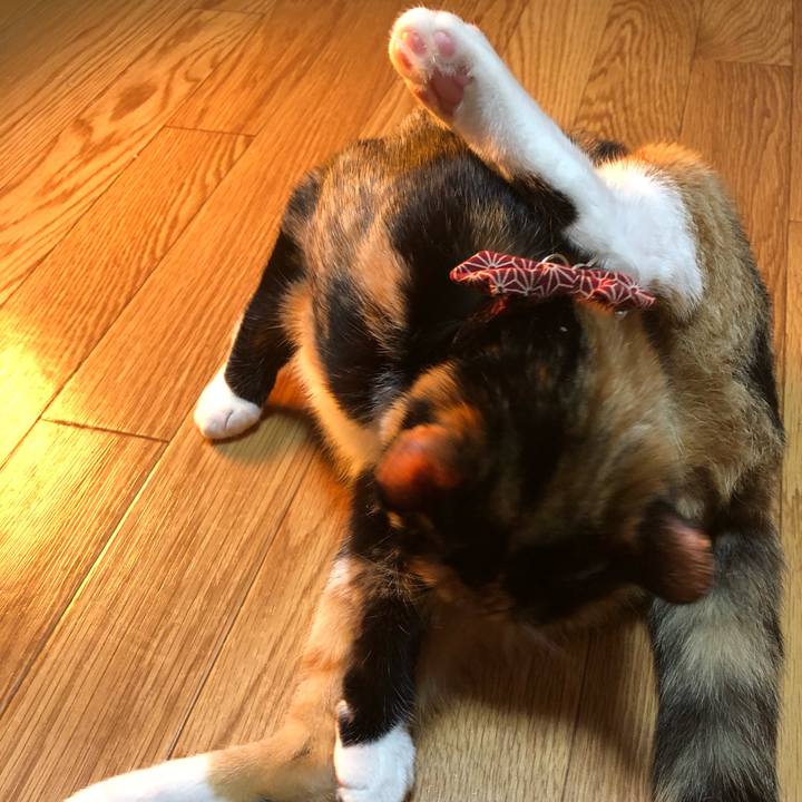 4171ddf8 2b31 4d10 85a8 06de5d068cc6 1555394577200