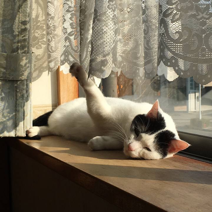 4171e3a9 964c 4e79 ad9d f67cfe233f8c 1516447759072