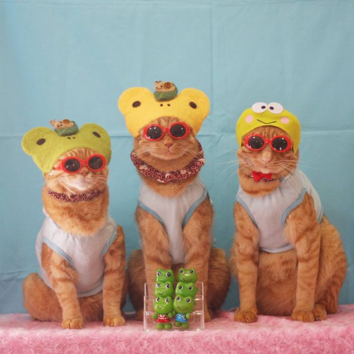 41727c8a c152 41dc b245 a07d1f8343c0 1717486259828