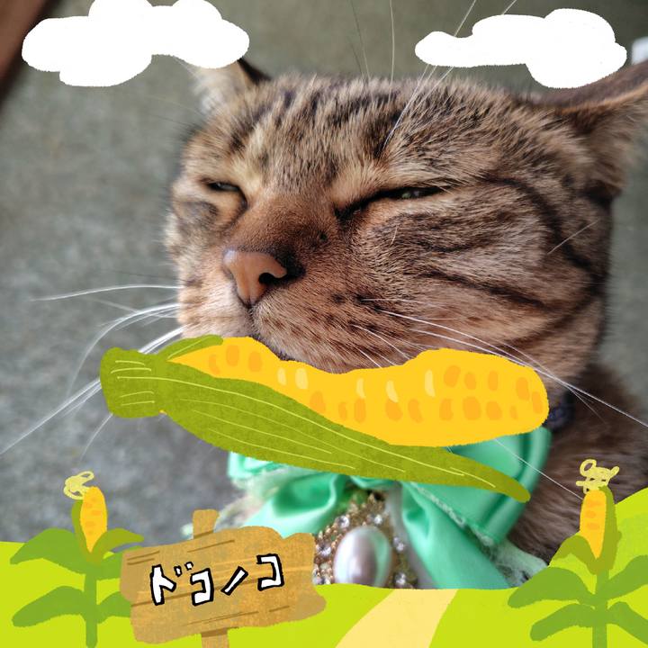 4172a470 4791 4bf3 89eb a6fce3eb07d3 1786402816121