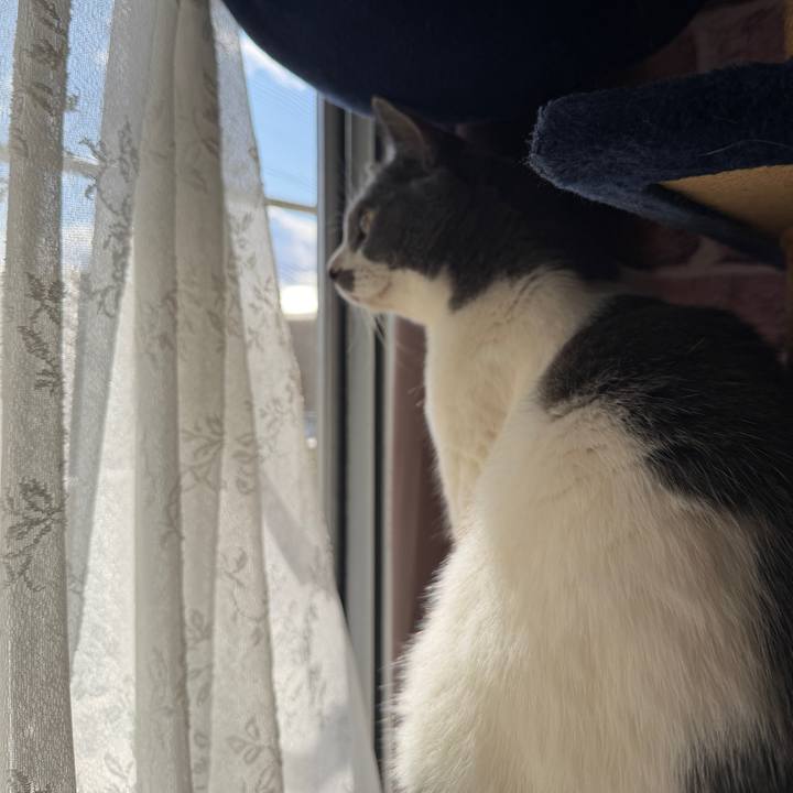 4172d75f 653e 4fc0 9c97 ccd587a0acf3 1769317053384