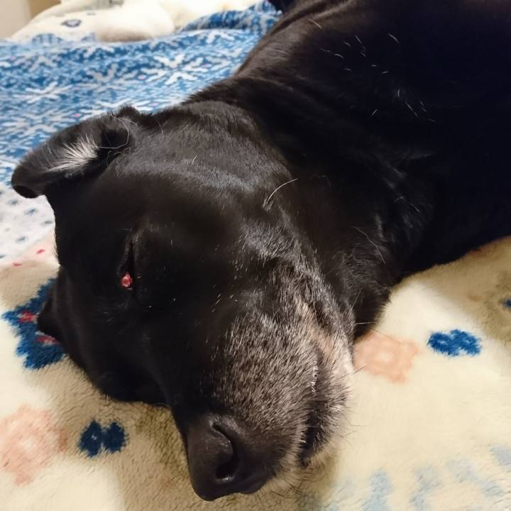 4172dbde 1519 4335 8581 c4404fd8d0d3 1549497625360