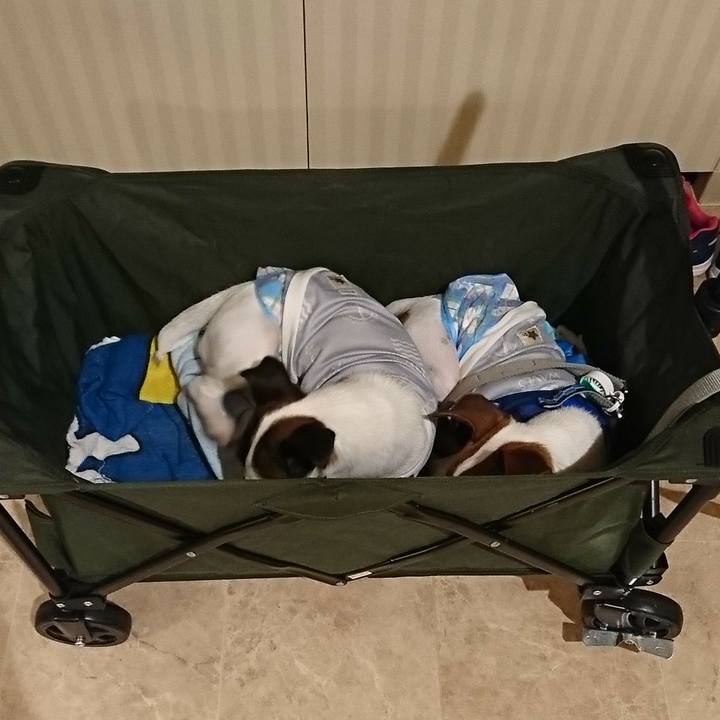 4173130b 07ef 4928 ac9f 2e331d798964 1535318944332