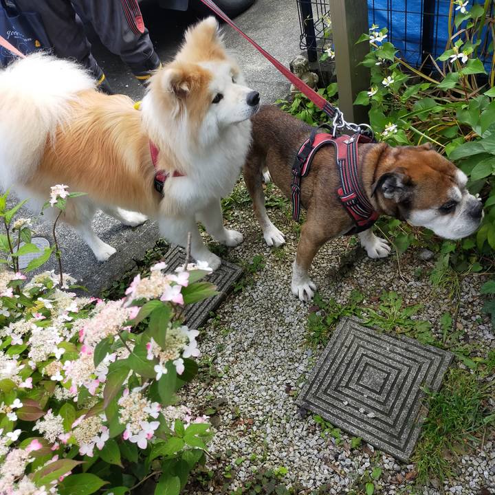 41731791 0a11 4b17 8491 88a1f0b393e9 1655037999751