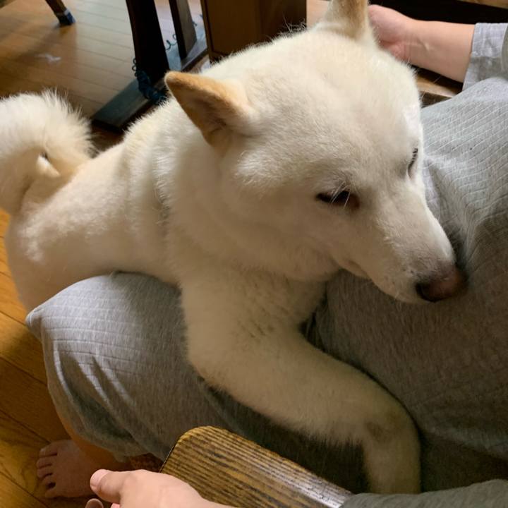 41734948 733c 42c1 a6d9 e5e09ac8dd74 1598653846959