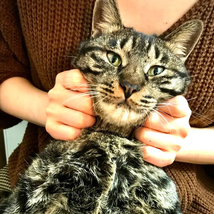 41737231 64ad 4123 8577 5603af2c2c61 1575809371399