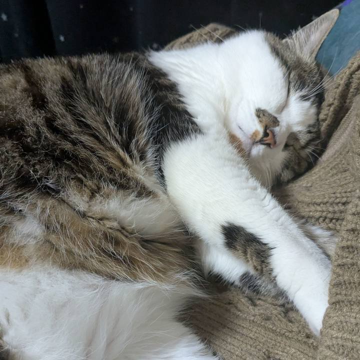 417383e7 da8f 4823 839e ce737c9a17f6 1745022664871