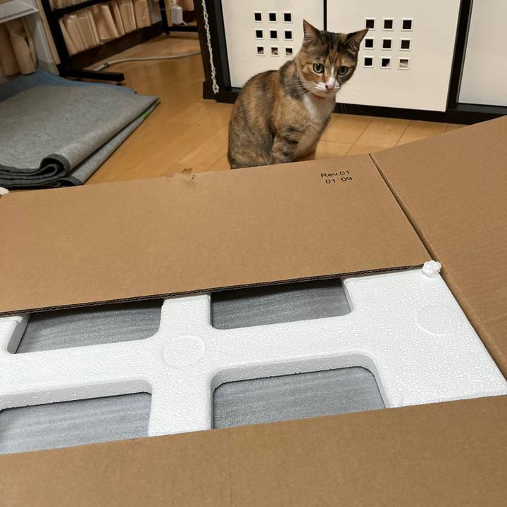 41738758 542c 4e95 8429 9e600f3dc037 1684154780297