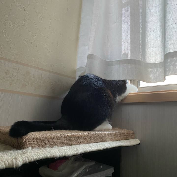 41739436 db9c 4aa1 a31b 9c3a2a0ac3de 1691010264726