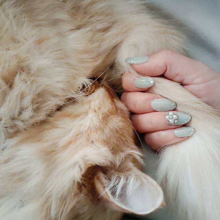 4173c873 a8ca 463b 80ce fe1fb89106fb 1675479532761