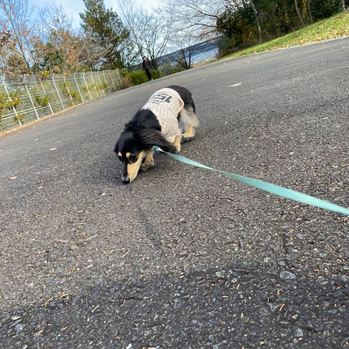 4173ccd2 b2ad 4863 b5f6 3f738c26dfaf 1733994586286