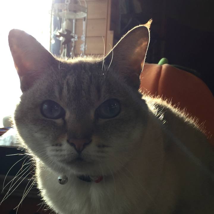 4173d42f 8692 4797 80e3 21d57ec8b41e 1516777478415