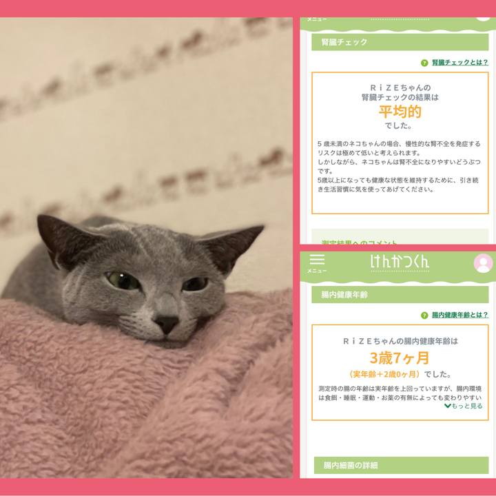 4173dcc3 aed9 4fe4 94a3 50de8a6247f4 1639626201762