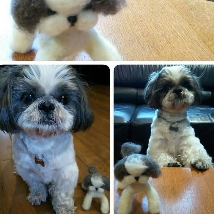 4173e682 bf9d 40b4 a4f5 973872301b1b 1521207252720