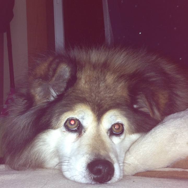 4173ec35 148e 454e b5a9 60fc24c98928 1570210779616