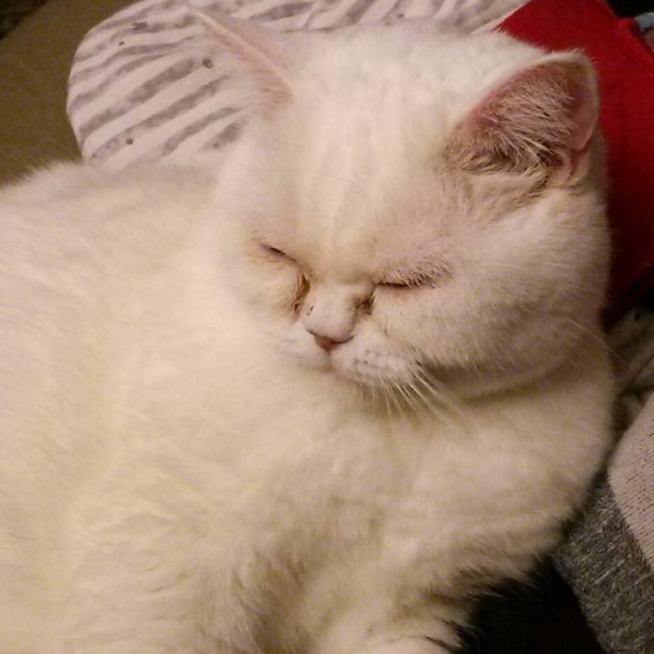 4173f30c 0335 4bc2 bd1e 8953310f907d 1577105754926