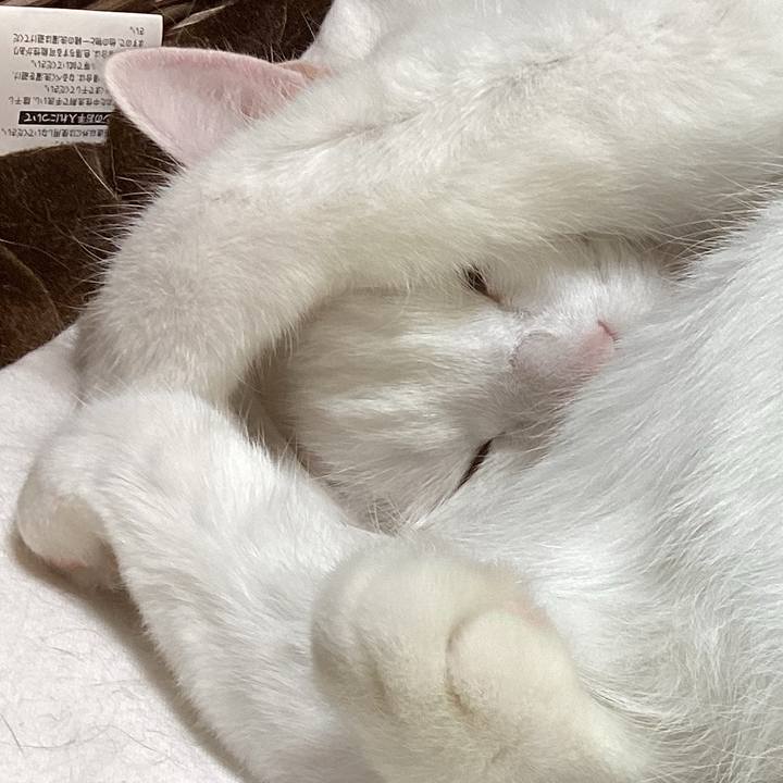 4173ff8b eaf5 4626 9f70 965afbdd60a6 1711468547335