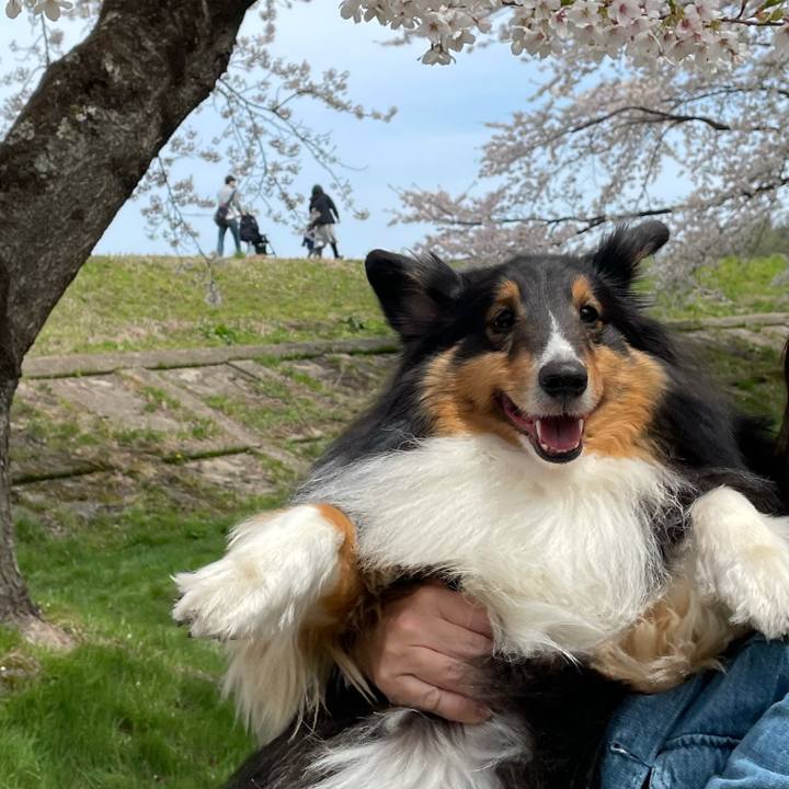 4174056b 2e7d 4344 829a 8b38fb661547 1619233550277