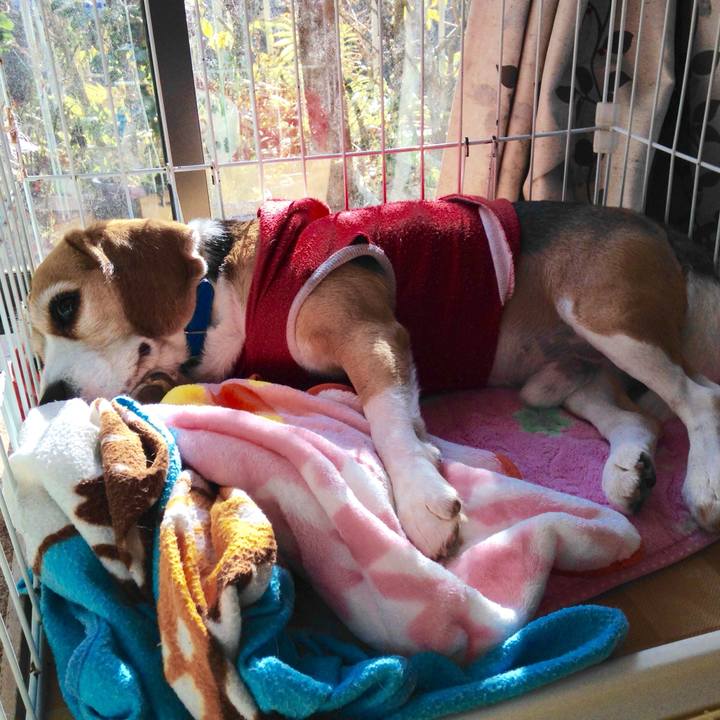 4174659f 61ca 4808 b869 5a2a2a7c4b5d 1737677386222