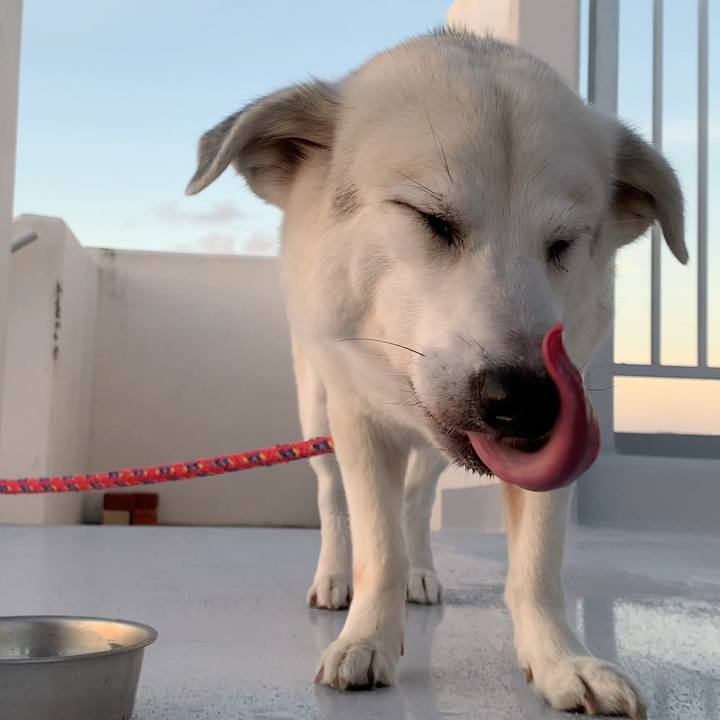 4174818a 7f06 49b6 b0d3 dacac69df9f7 1592396108627