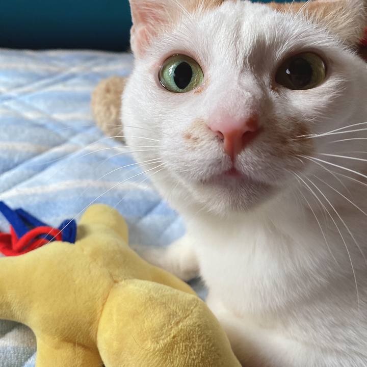 417483c6 d04f 42f5 8254 4d5195e157fb 1620428901761