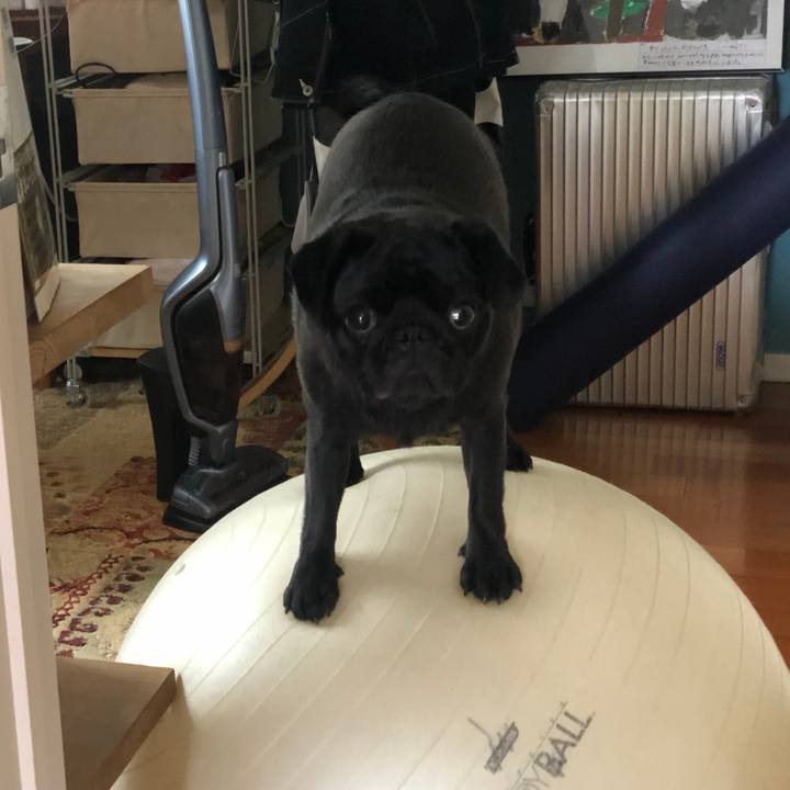 417515d0 f256 4bff 969b 7cfd1caac75e 1620458761000